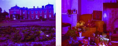 1687_059.jpg 1687_059.jpg