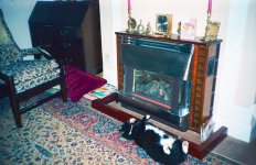 1687_101 copy.jpg 1687_101 copy.jpg