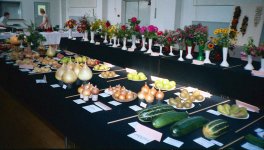 1687_105 copy.jpg 1687_105 copy.jpg