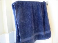 Blue towel on wall Ixus 70 IMG_4315.JPG