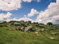 013-75900013 Combestone Tor 01 40mm PS Adj.JPG