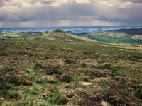 003-75900003 Sharp Tor 03 80mm PS Adj.JPG