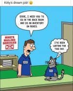 284959897_2549135488562042_7966201342869539780_n.jpg 284959897_2549135488562042_7966201342869539780_n.jpg