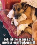 teddybear.jpg teddybear.jpg