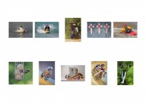 LRPS Hanging PLan.jpg