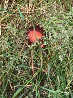 week 22 treasure.jpg