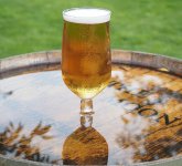 P6070226-1k5.jpg P6070226-1k5.jpg