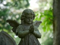 Angel G80 1.jpg Angel G80 1.jpg