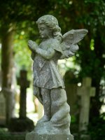 Angel G80 2.jpg Angel G80 2.jpg