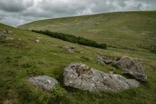 018 Black-a-Tor Copse 05-7887 PS Adj.JPG