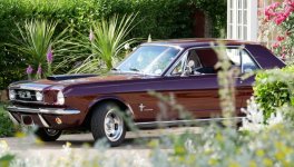 Mustang 1.jpg