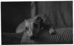 Jun 15 2022-JPEG - 2048px for web use-4644 x 2820.jpg