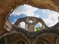 P6121351-1k5.jpg P6121351-1k5.jpg