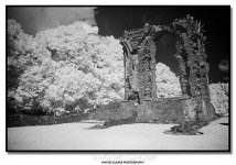 tn_DSC_8470 smallcopy.jpg