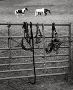 LeadingLines.jpg LeadingLines.jpg