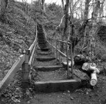 2022-1-23 Causey Arch, 124G, Shanghai GP3 100, HC110 Dil H, 021.jpg 2022-1-23 Causey Arch, 124G, Shanghai GP3 100, HC110 Dil H, 021.jpg