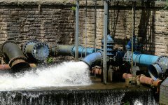 week 24 beginning with P.jpg