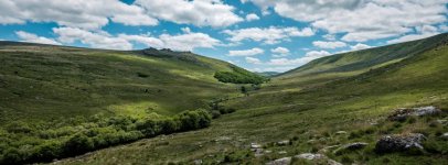 013 Black-a-Tor Copse 05 (GFX)-2150 PS Adj.JPG