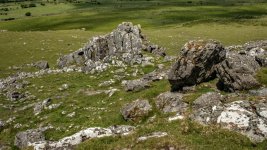 032 Sourton Tors 03-7952 PS Adj.JPG