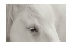 2022-6-19 Beamish, Oly OM10, Acros I, Adox HRDEV 1-35 11m, 020-Edit.jpg