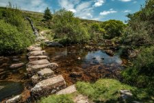 031 Stepping Stones 01-1252 PS Adj.JPG