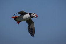 Week 24 Beginning with P.JPG