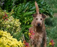 DSC_0008.jpg DSC_0008.jpg