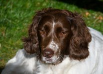 DSC_0011.jpg DSC_0011.jpg