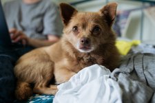 Yuffie 2470 - 1 of 2 - A1207399.jpg