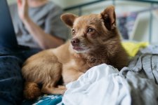 Yuffie 2470 - 2 of 2 - A1207403.jpg