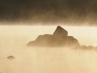 _5290684.jpg _5290684.jpg