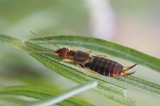 P6234348-1k5.jpg P6234348-1k5.jpg