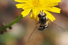 P6254554-1k5.jpg P6254554-1k5.jpg