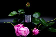 B5079398-33F5-4491-9412-8ED23148732C.jpeg B5079398-33F5-4491-9412-8ED23148732C.jpeg