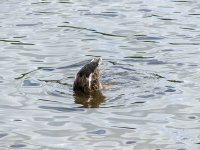 week 26 One Half.jpg