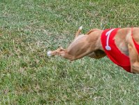 WEEK 26 - ONE HALF.jpg