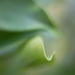 P1090013 TP Comp.jpg