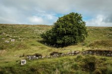 015 Disused Tin Workings 02-8097 PS Adj.JPG