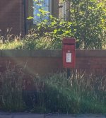 week 27 post and tech dappled light.jpg