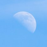 Week 26 Half.JPG Week 26 Half.JPG