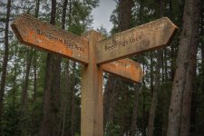 Week 27 Post.JPG Week 27 Post.JPG