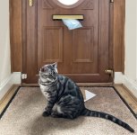 Week 27 - second Post.jpg