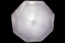 _OHL9981-Wallpaper.jpg _OHL9981-Wallpaper.jpg