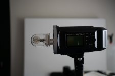 _OHL9987-Wallpaper.jpg _OHL9987-Wallpaper.jpg