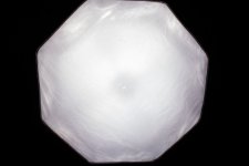 _OHL9993-Wallpaper.jpg _OHL9993-Wallpaper.jpg