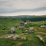 002 Feather Tor Ponies 01-82530003 PS Adj.JPG