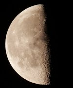 P1002811.jpg P1002811.jpg