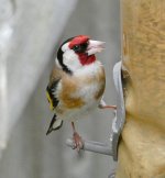 22 July 22 - 2nd image.jpg