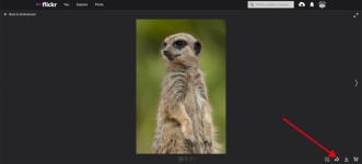 Screenshot 2022-07-23 at 18.06.20.png Screenshot 2022-07-23 at 18.06.20.png