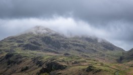 Social Media-7380.jpg